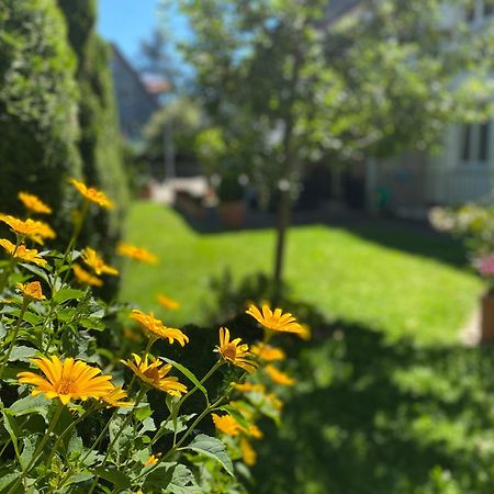 Hotel Villa Solln Мюнхен Екстериор снимка