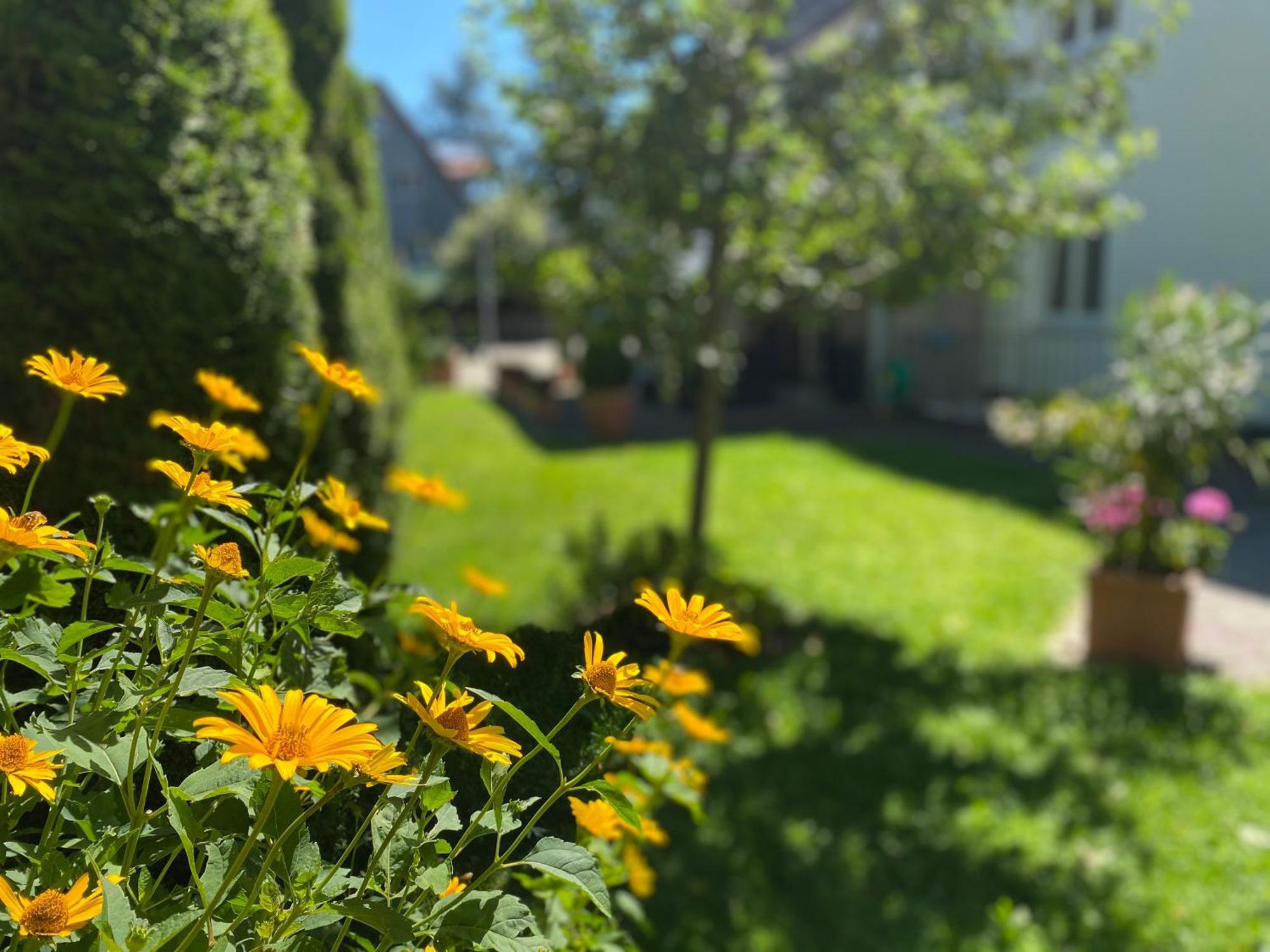 Hotel Villa Solln Мюнхен Екстериор снимка